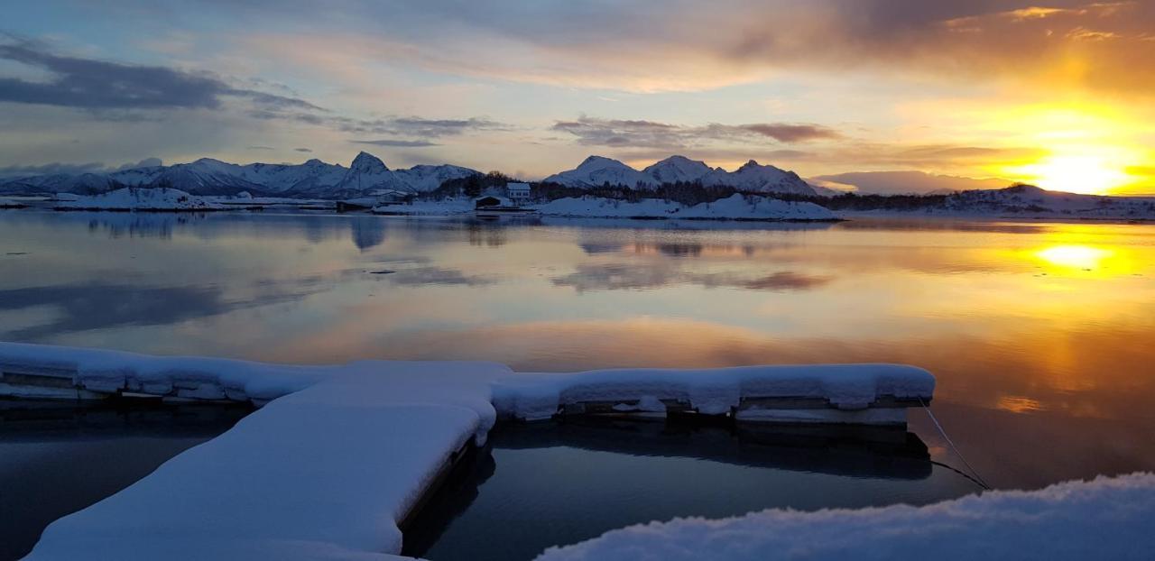Ringstad Resort Bo (Nordland) Exterior foto